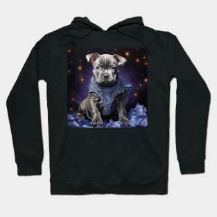 American Bully Puppy Hoodie